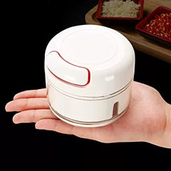 Mini Hand Food Chopper